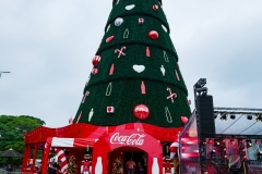 NATAL063