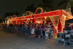 NATAL341