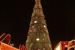 NATAL651