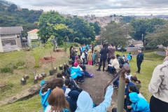 Plantio-em-Jundiai-2026-2