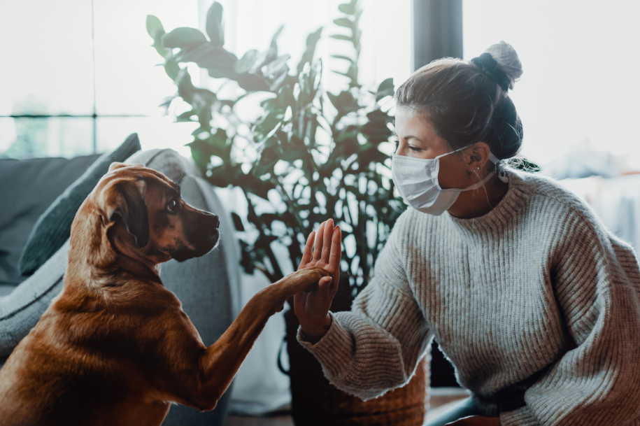 Quatro dicas para o seu pet na pandemia