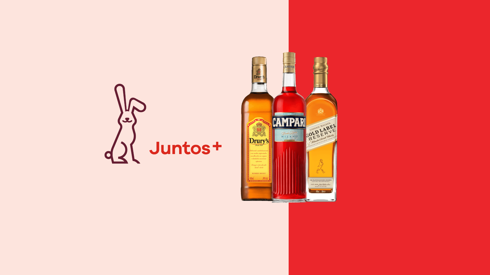 Confira a lista de alcoólicos que estão com desconto exclusivo para colaboradores